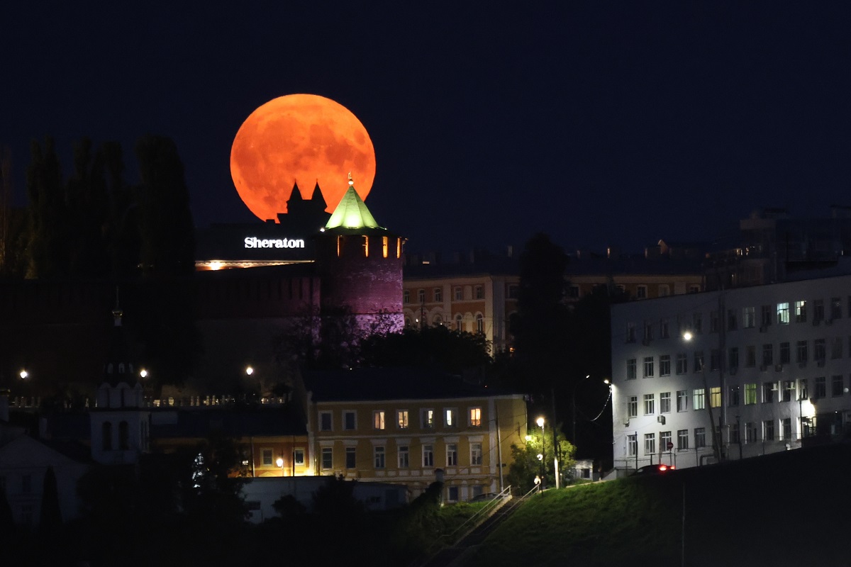 Астроном Кошман рассказала, когда в этом году ожидается «суперлуние»